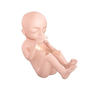 Semana 16