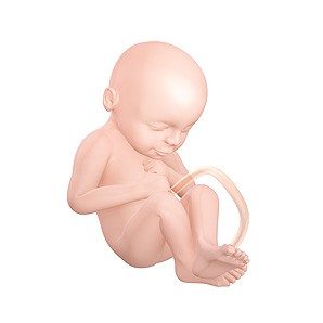 Semana 30